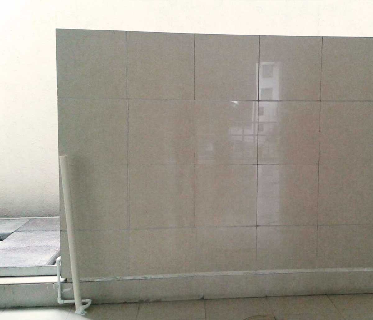 Proyecto