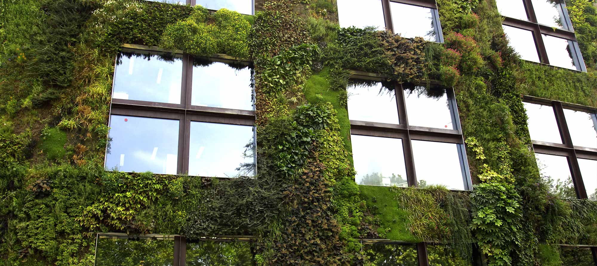 Jardines Verticales Hidropónicos Jardines Verticales Hidropónicos