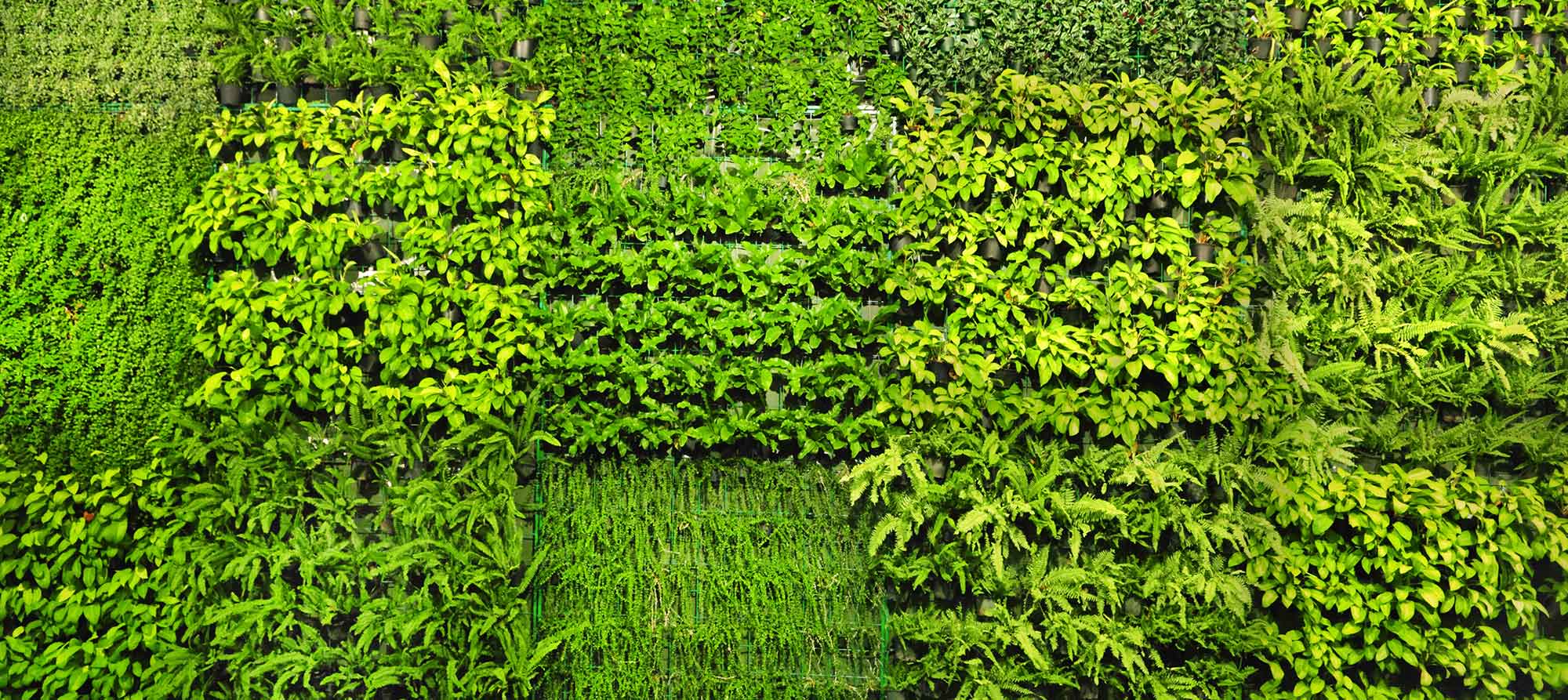 Jardines Verticales Artificiales Jardines Verticales Artificiales