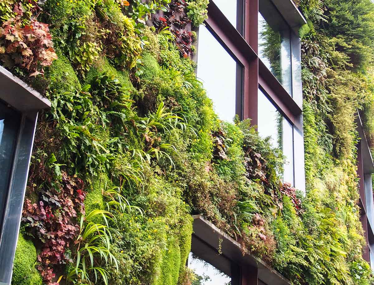 Servicios de jardinería