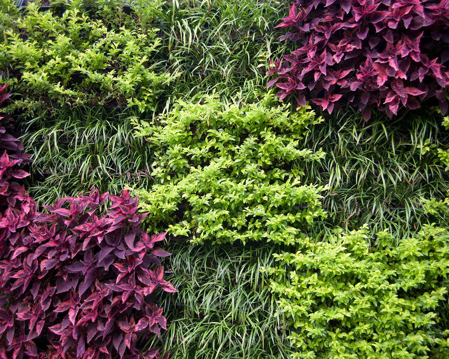 Nuestra solución 100% ecológica Solución Ecológica