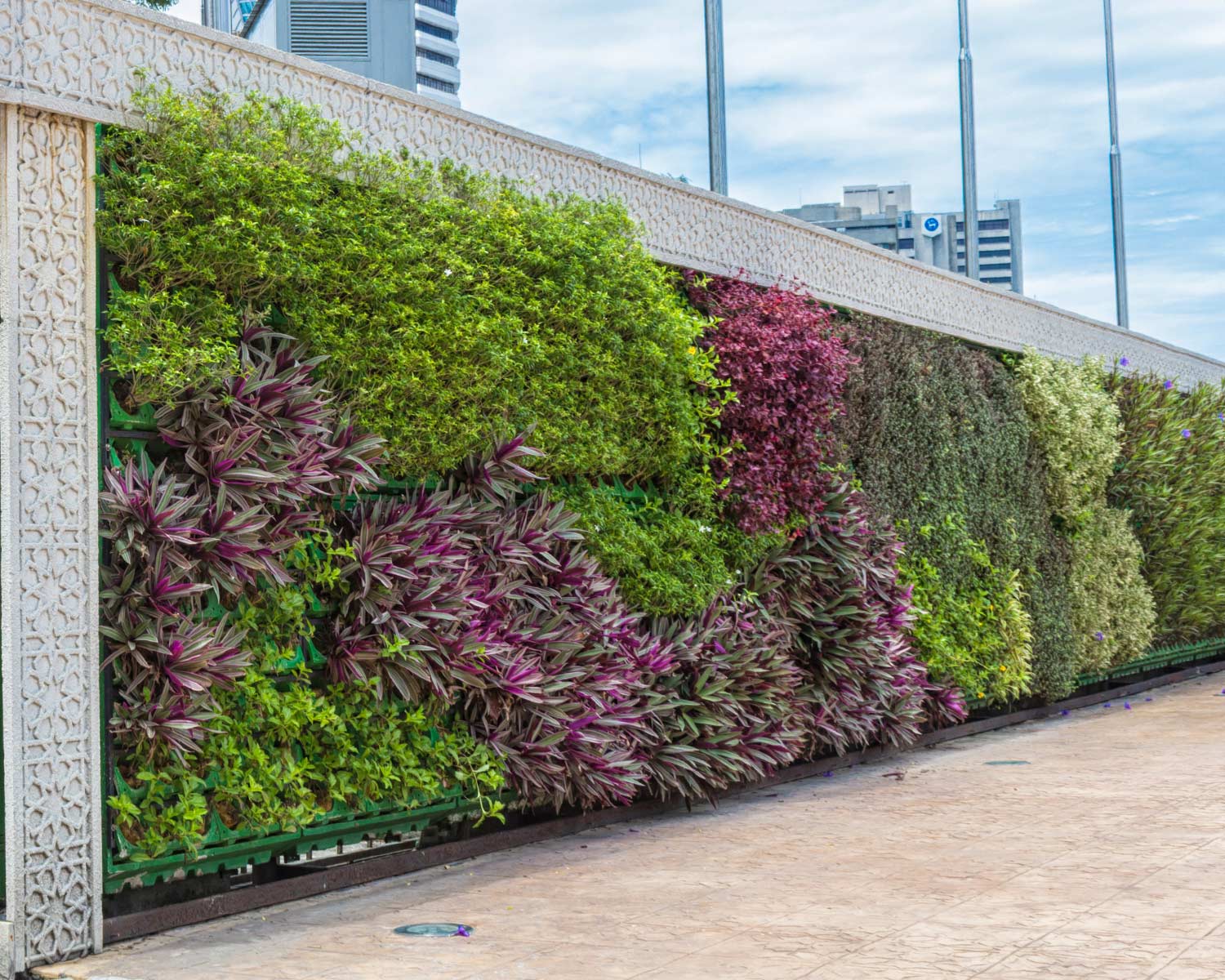 Nuestra solución 100% ecológica Solución Ecológica